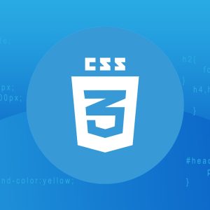 CSS Fundamentals: Comprehensive Training for Web Developers